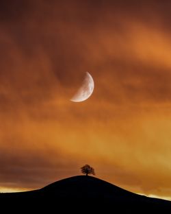 Low angle view of moon at sunset