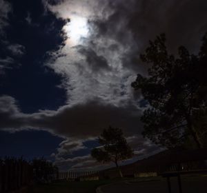 Low angle view of silhouette trees against sky