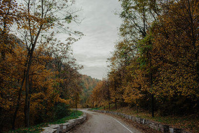 Road amidst trees against sky during autumn