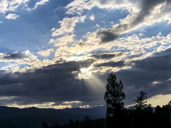 Low angle view of silhouette trees against sky during sunset