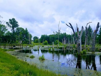 Scenic view of lake by trees against sky