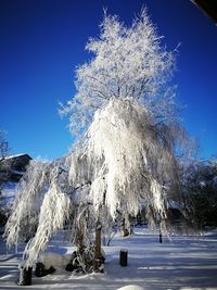 Close-up of frozen water against sky