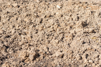 Full frame shot of sand