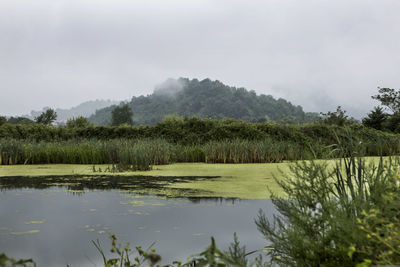 Scenic view of lake against sky