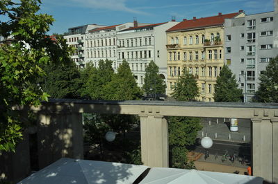 Trees and buildings against sky seen through glass window