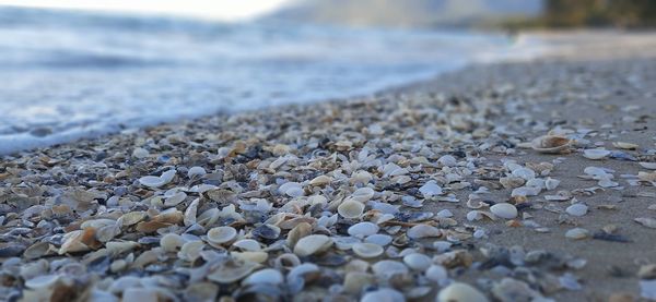 Close-up of stones on beach