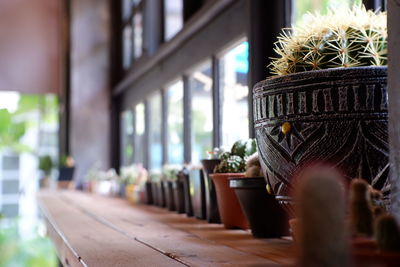 Close-up of potted plants on table