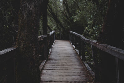 Wooden footbridge along trees in forest