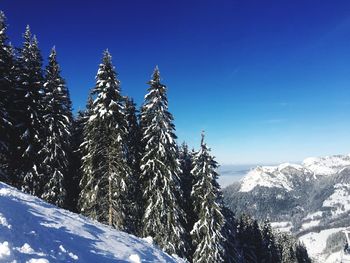 Low angle view of snowcapped mountains against blue sky