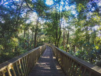 Footbridge amidst trees in forest