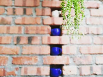 Close-up of plant against brick wall