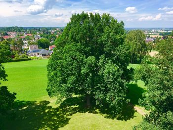 Trees and plants growing on field against sky