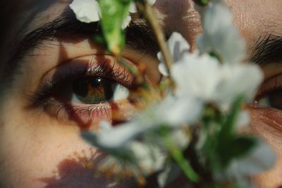 Close-up of human eye by flowering plant