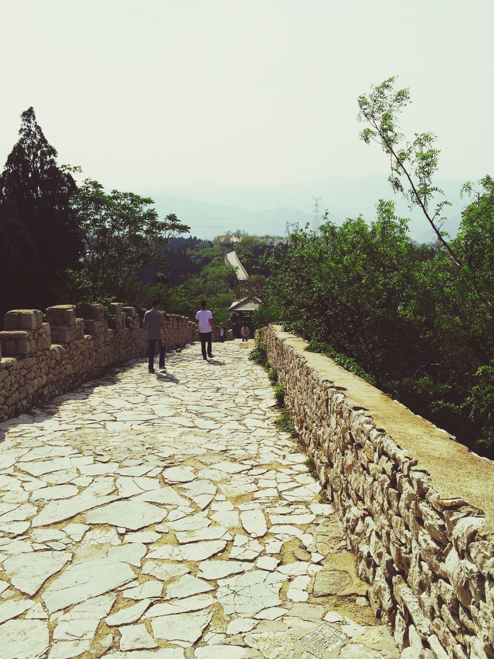 clear sky, footpath, tree, the way forward, cobblestone, sky, growth, plant, tranquility, lifestyles, nature, day, copy space, leisure activity, tranquil scene, walkway, men, steps, outdoors