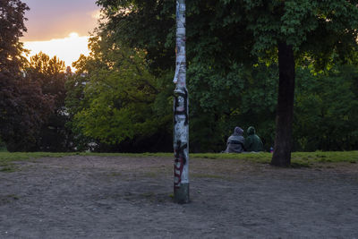 People in park by trees in forest