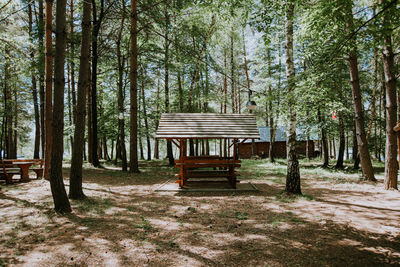 Empty bench in forest