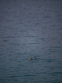 High angle view of people in sea