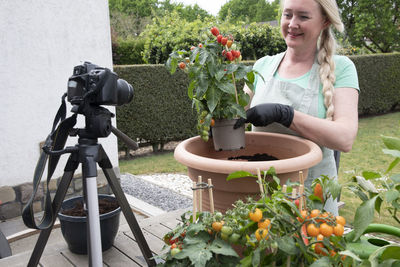 Middle aged woman transplant seedlings of cherry tomatous into a large pot