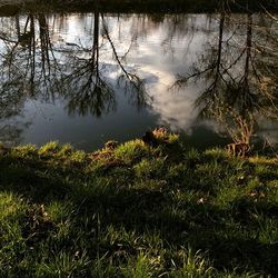 Scenic view of lake against sky