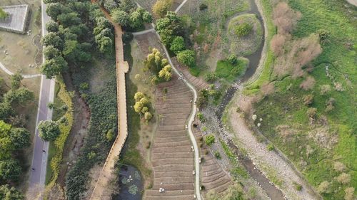 High angle view of footpath amidst trees