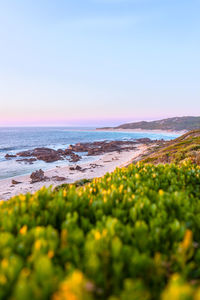 Scenic view of sea against clear sky