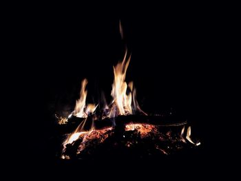 Close-up of fire against black background