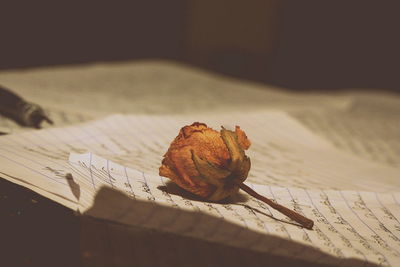 Close-up of dried rose on papers at table