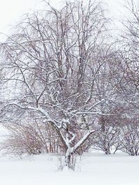 Scenic view of snow covered landscape