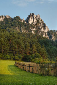 Scenic view of trees and mountains against sky