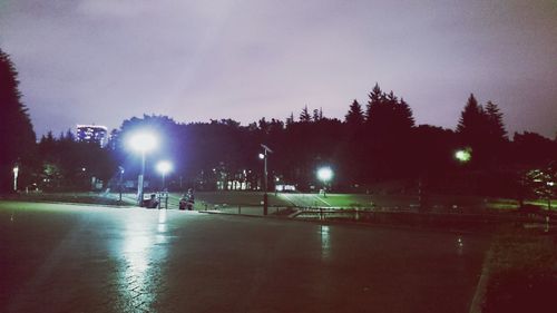 View of illuminated trees against the sky