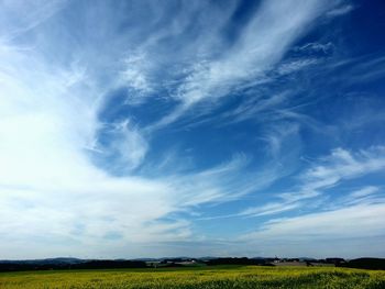 Scenic view of field against blue sky