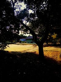 Silhouette trees on field in park