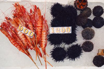 Close-up of food on table