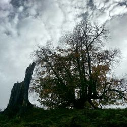 Low angle view of bare tree against cloudy sky