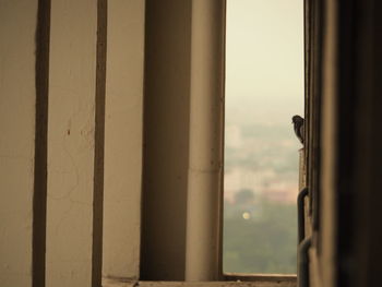 Close-up of a window