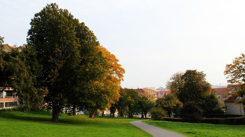 Scenic view of tree in city against clear sky