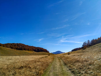 Dirt road amidst field against blue sky
