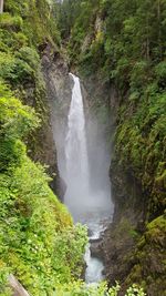 Scenic view of waterfall in forest