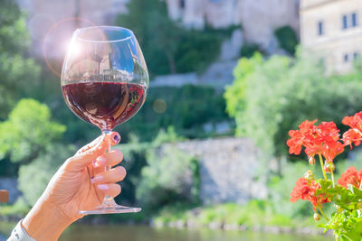 A woman hand holding a glass of red wine