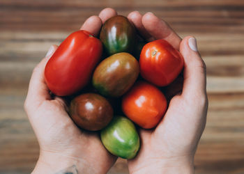 Close-up of cupped hands holding various tomatoes