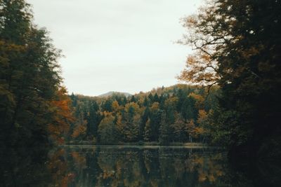 Scenic view of lake by trees in forest against sky