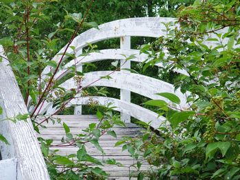 Plants against trees