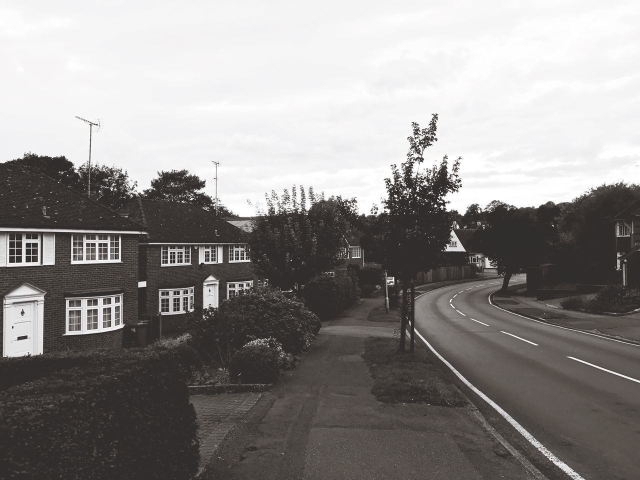 tree, transportation, road, the way forward, built structure, architecture, sky, building exterior, diminishing perspective, outdoors, day, leading, vanishing point, empty road, no people, tranquility, cloud - sky, tranquil scene