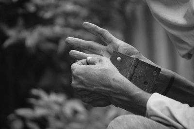 Close-up of hand holding plant