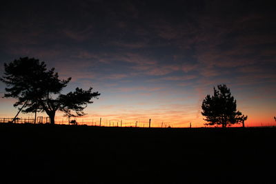 Silhouette trees on field against sky at sunset