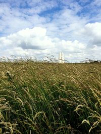 Scenic view of grassy field against sky