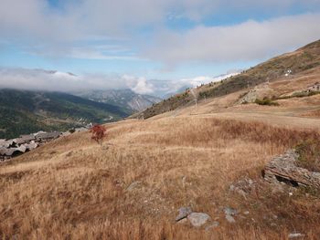 Scenic view of landscape against sky