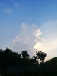 Low angle view of silhouette trees against sky