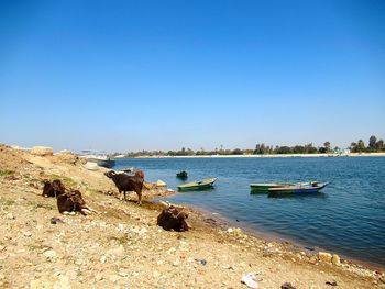 View nile river