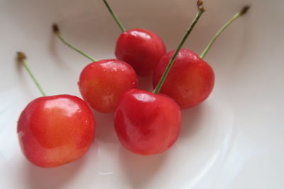 Close-up of cherries